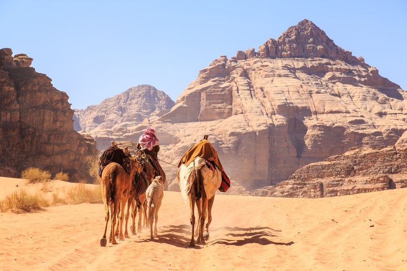 Giro in cammello a Petra e Wadi Rum